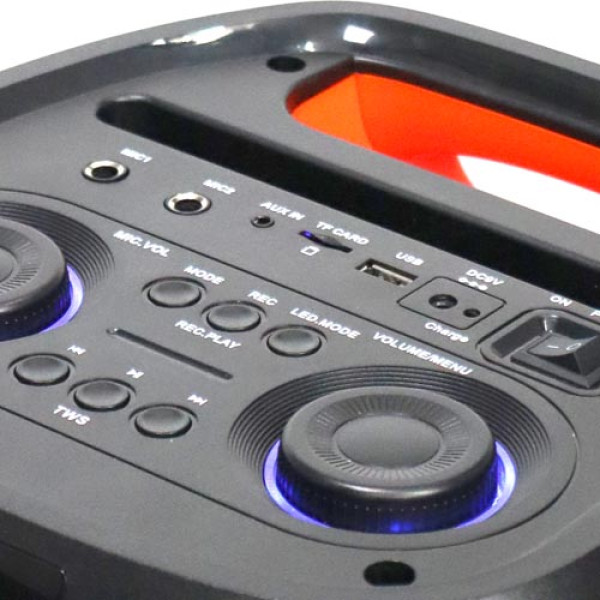 Bluetooth karaoke zvucnik sa bezicnim mikrofonima PT 602W - Image 3
